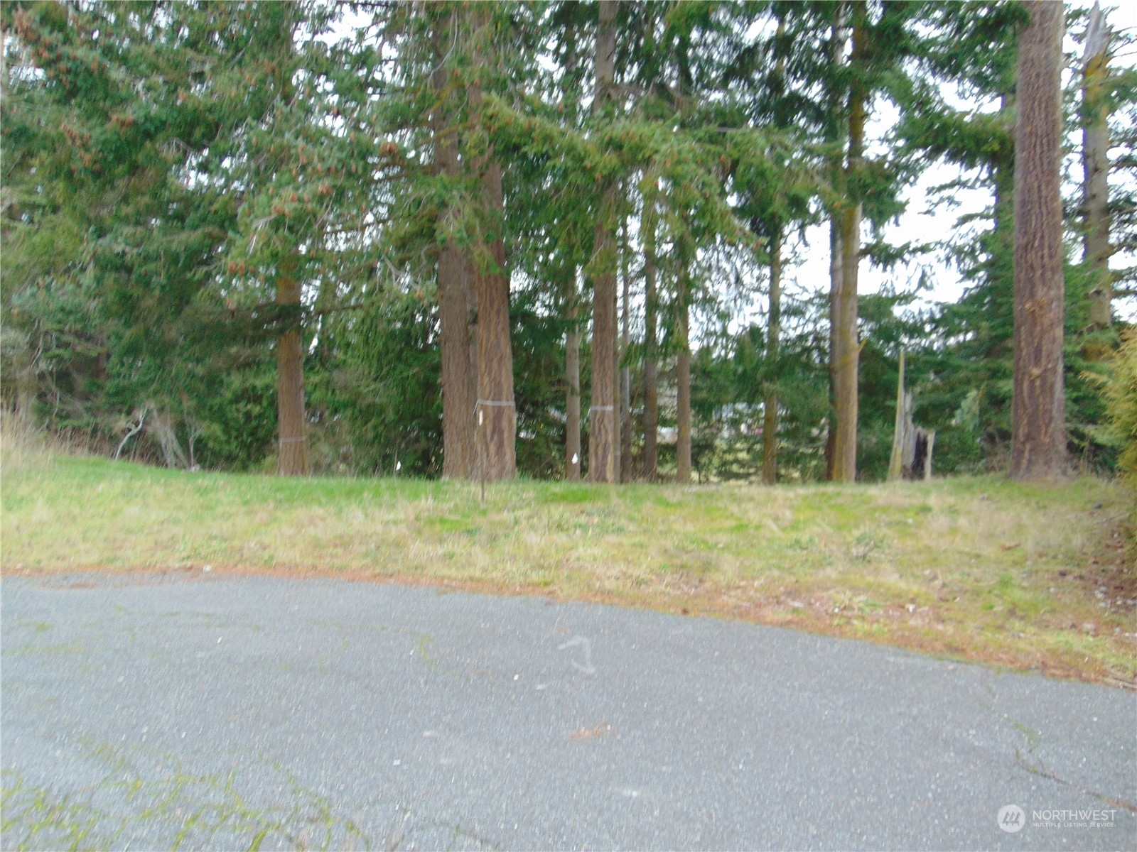 Property Photo:  114  Ridgetop Place  WA 98382 