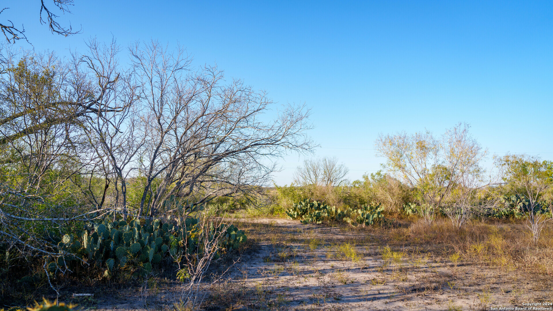 Property Photo: Tbd Highway 1604 TX 78112