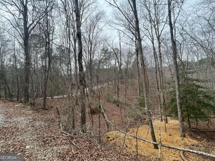 Lot 618 Charity Court  Ellijay GA 30540 photo
