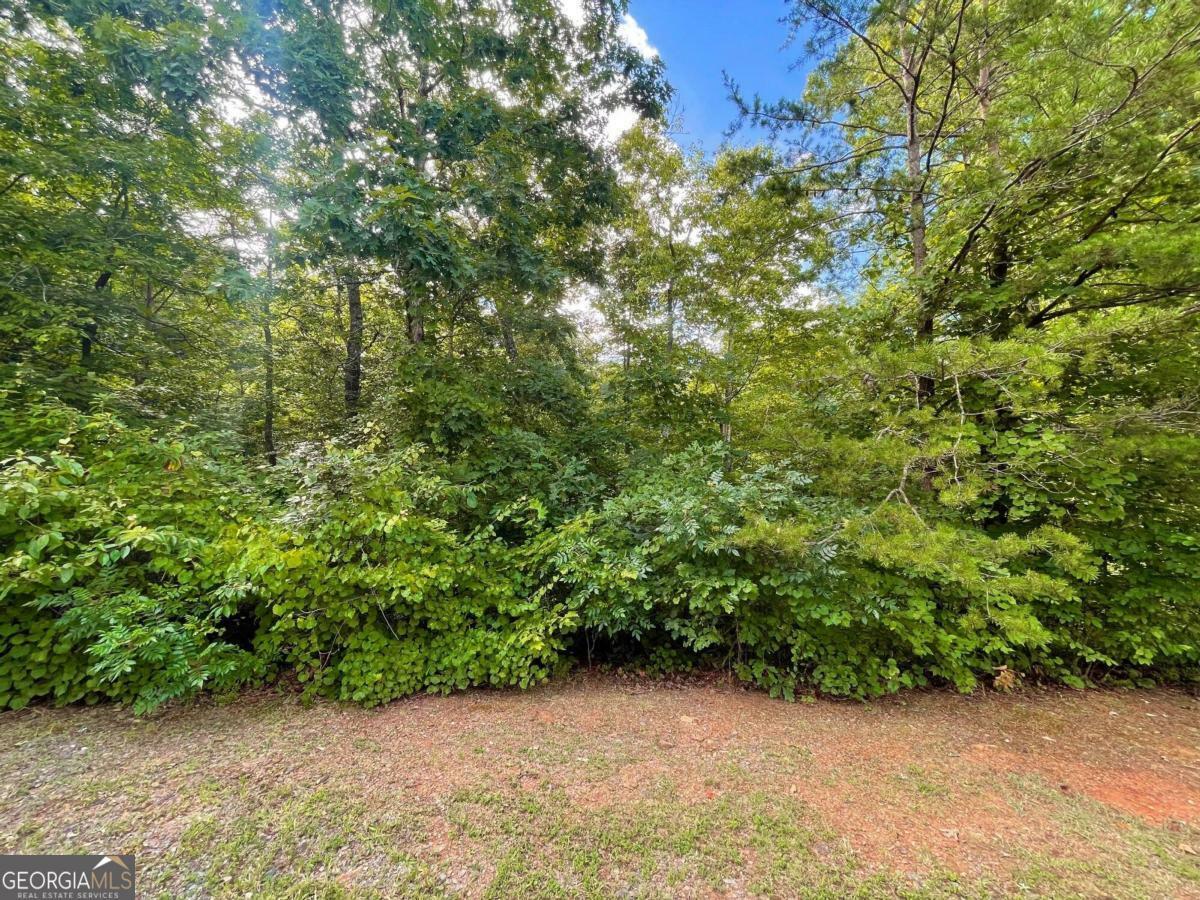 Property Photo:  Lot 118 Beech Tree Drive  GA 30540 