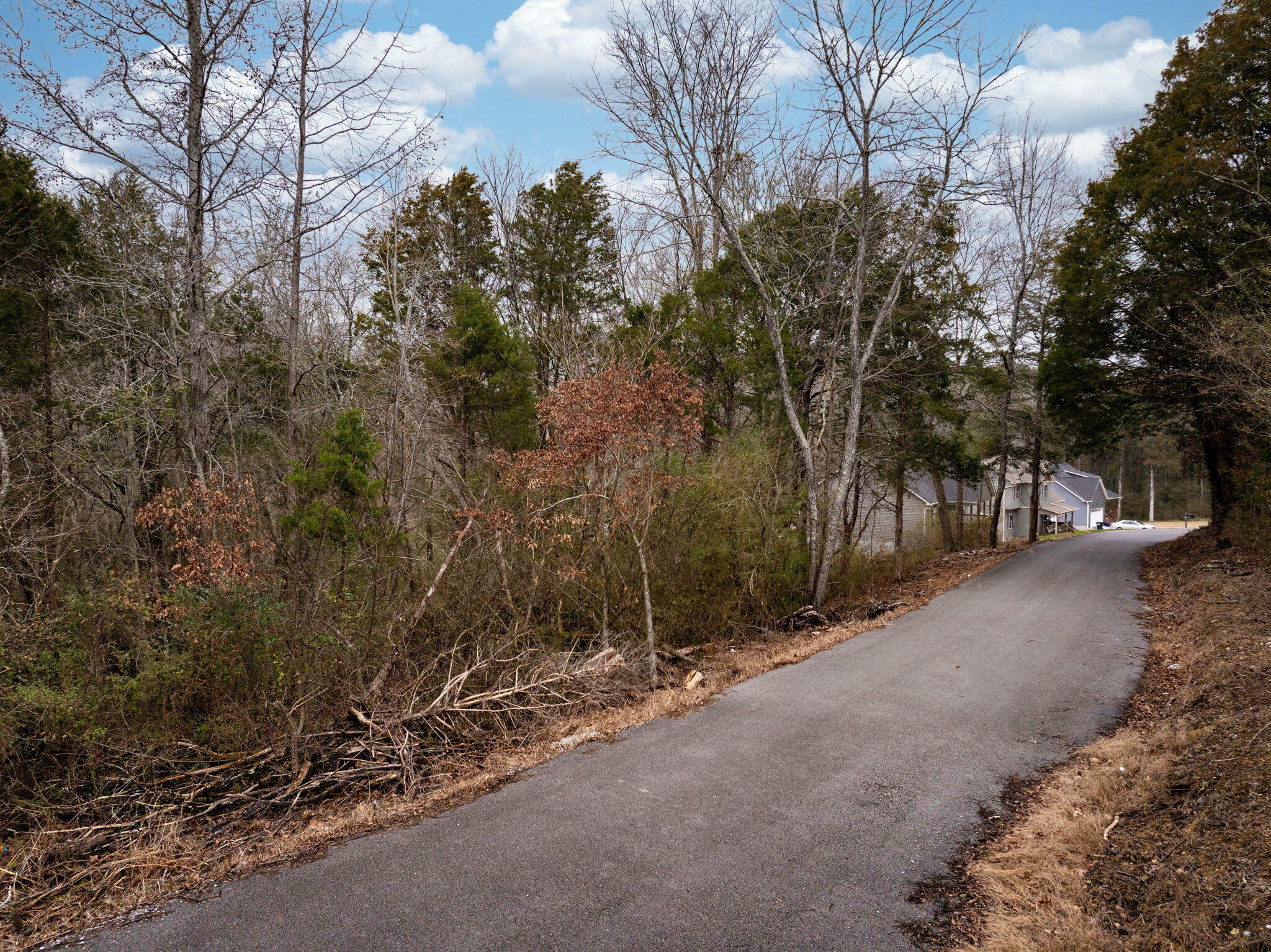 Property Photo:  14009 Mount Annie Church Road  TN 37379 