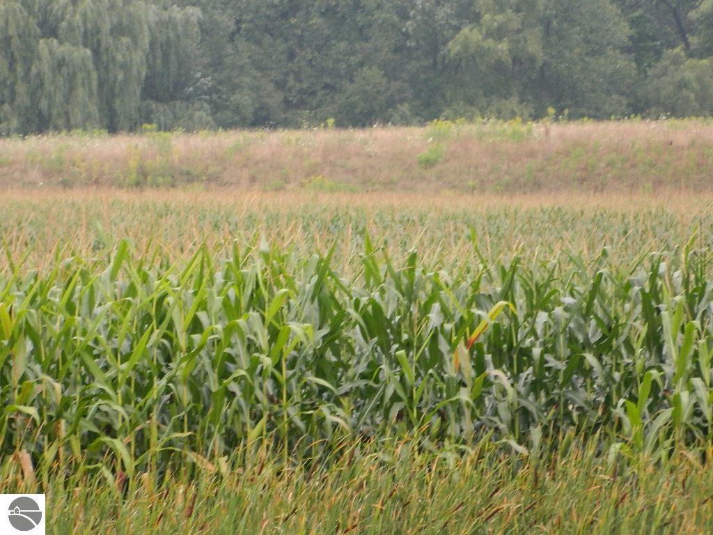 Property Photo: Tbd S Coldwater Road MI 49310-1234
