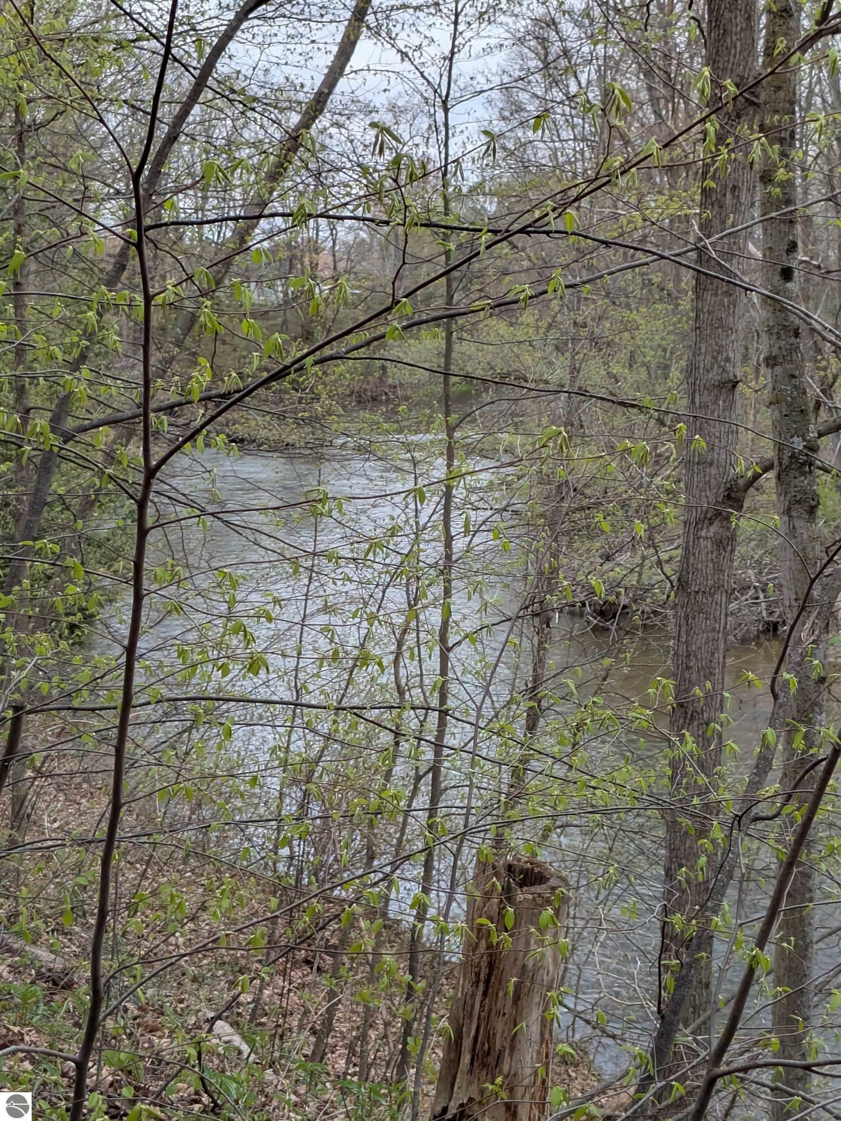 Property Photo: 8355 Chippewa Trail MI 48858