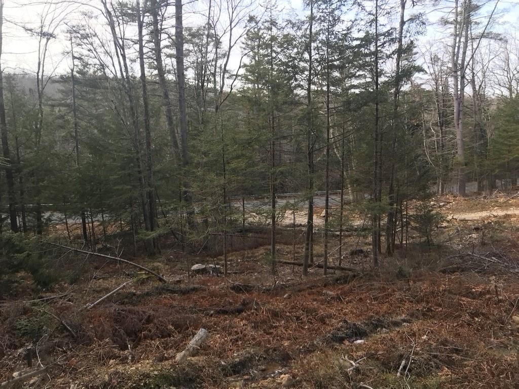 Property Photo:  Map 6 Lot 96-2 Granite Lake Road  NH 03457 