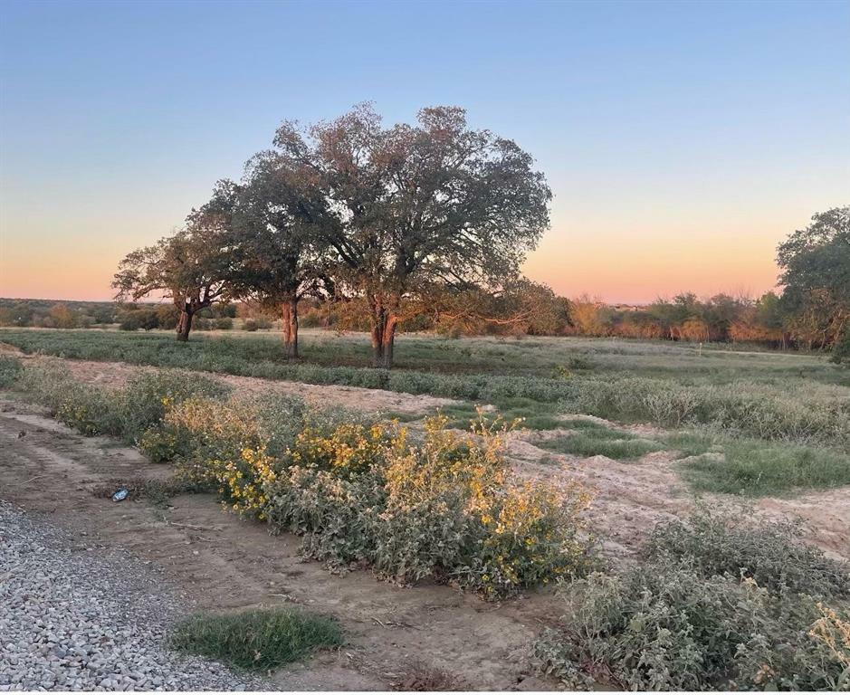 Property Photo:  1010 Gonzollas Road  TX 76082 