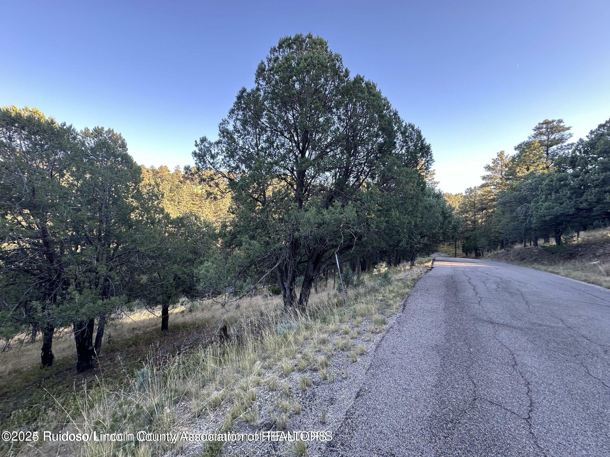 Property Photo: Lot 4 Alto Drive NM 88312