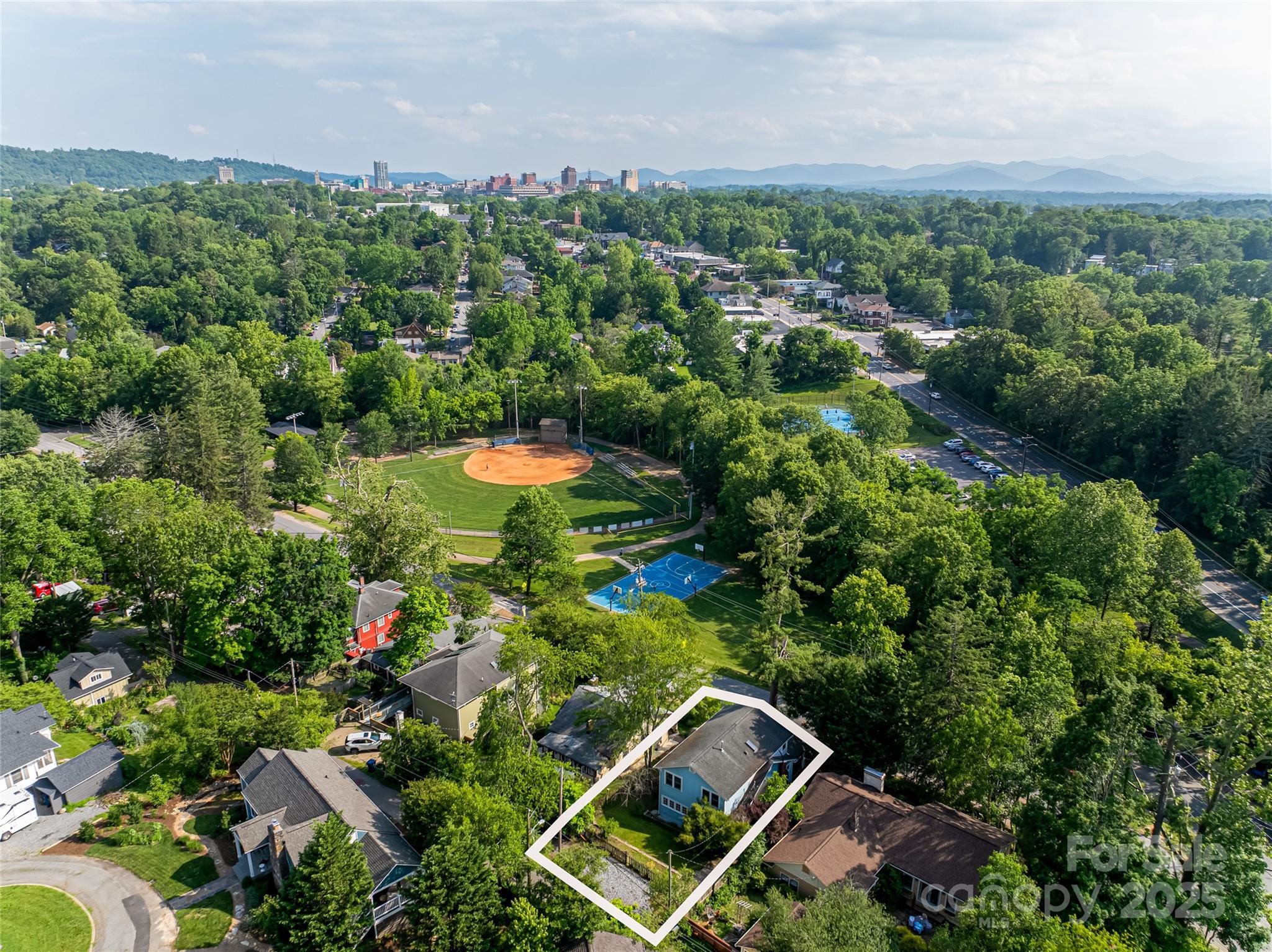 Property Photo:  273 Murdock Avenue  NC 28804 