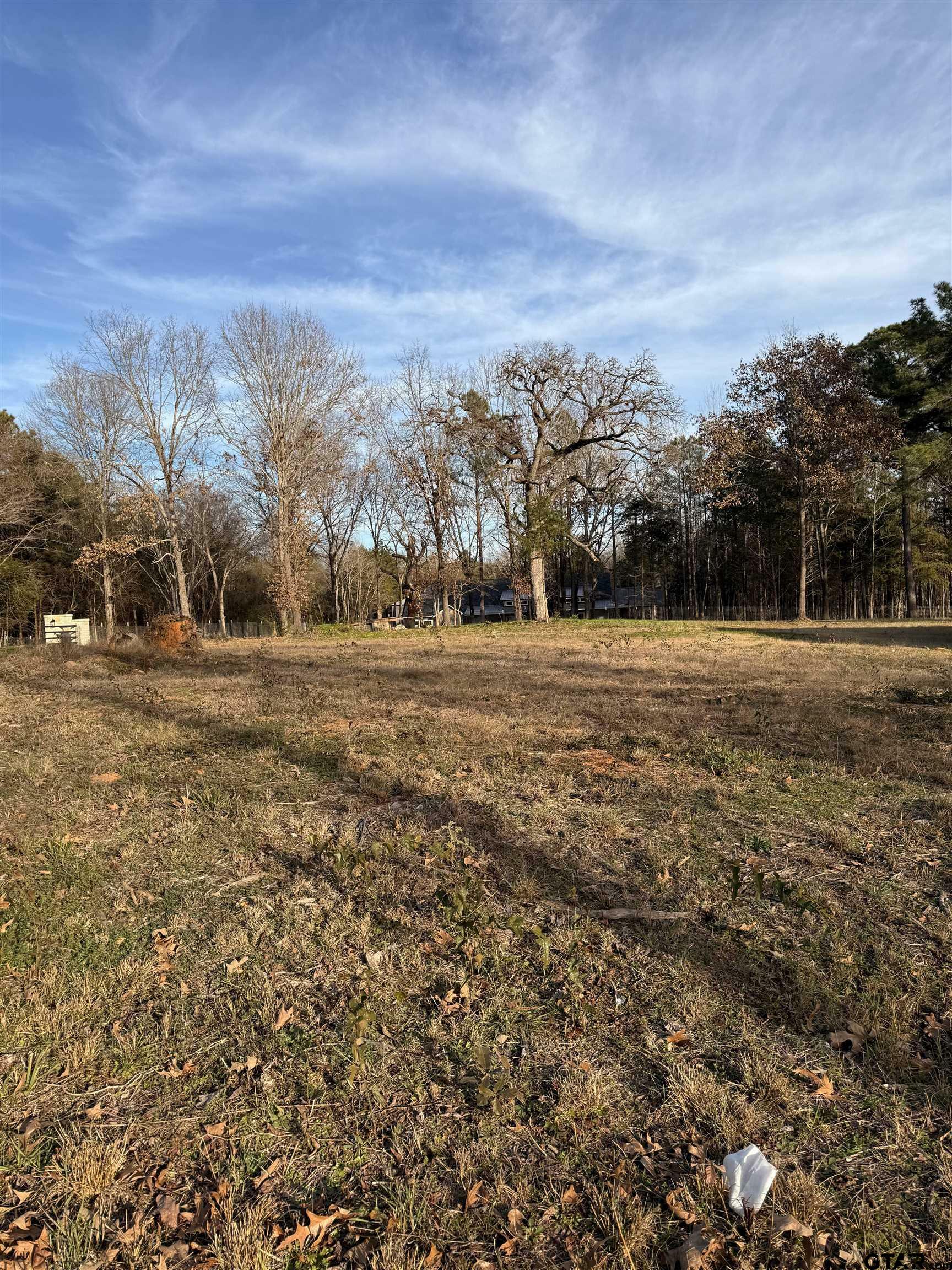 Property Photo:  17468 Cr 479 (Lot 5)  TX 75771 