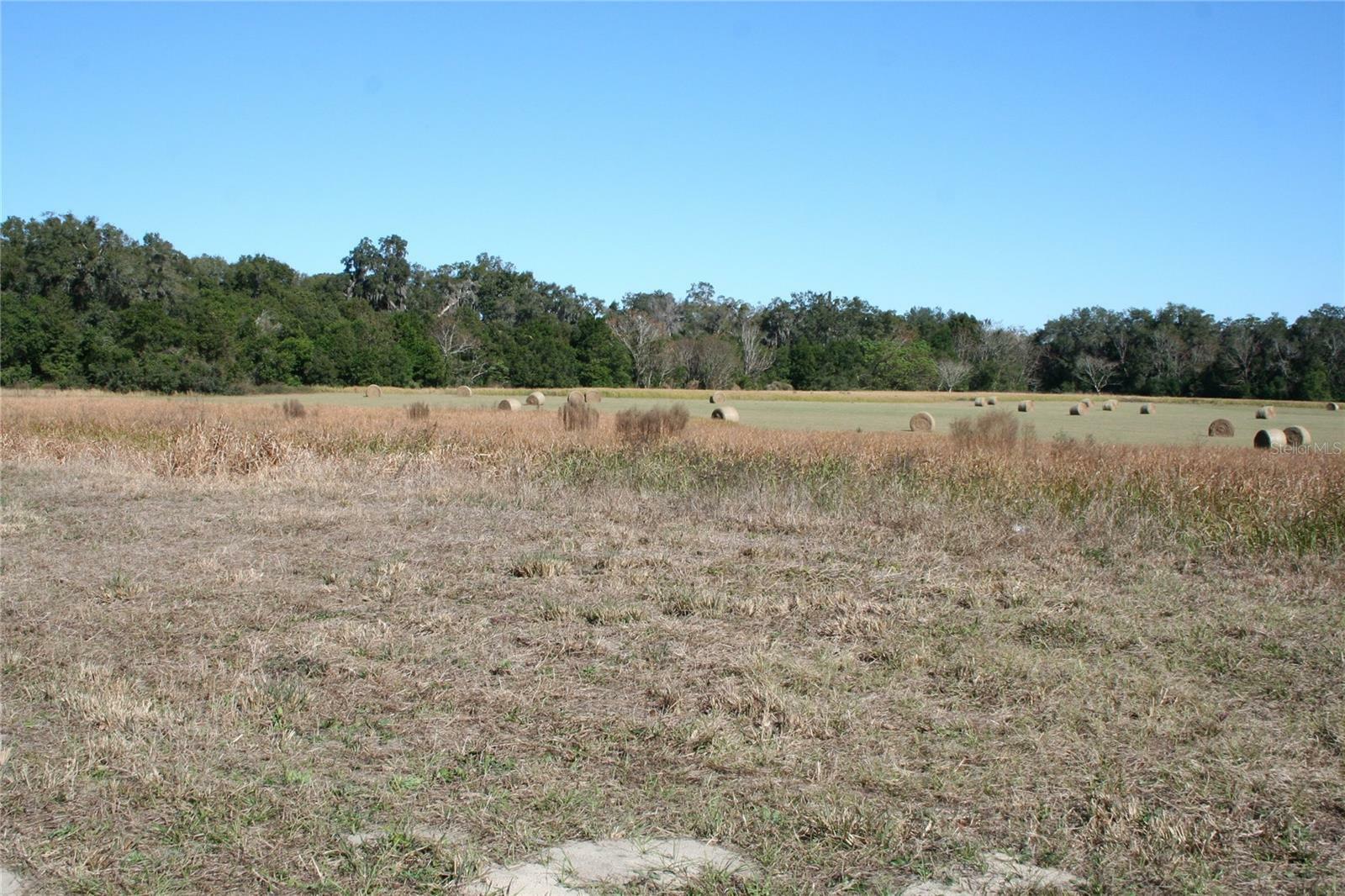 Property Photo:  0 S US Hwy 301  FL 34491 