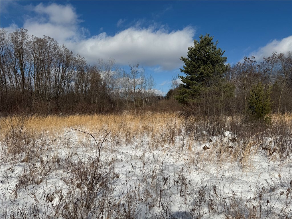 Property Photo:  Tibbetts Wick Road  OH 44420 