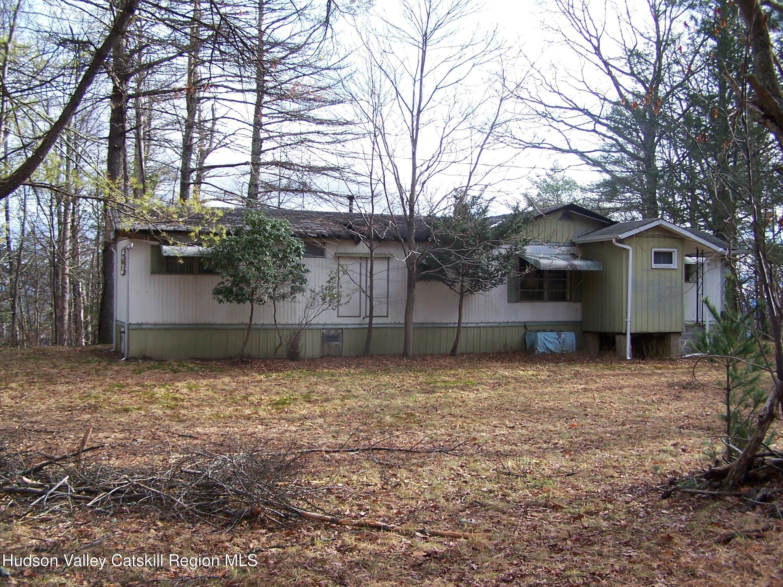 Property Photo: 157 Mt Airy NY 12477
