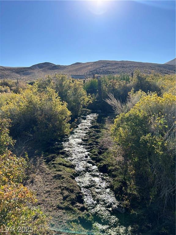 0 Sand Springs Road  Dyer NV 89010 photo