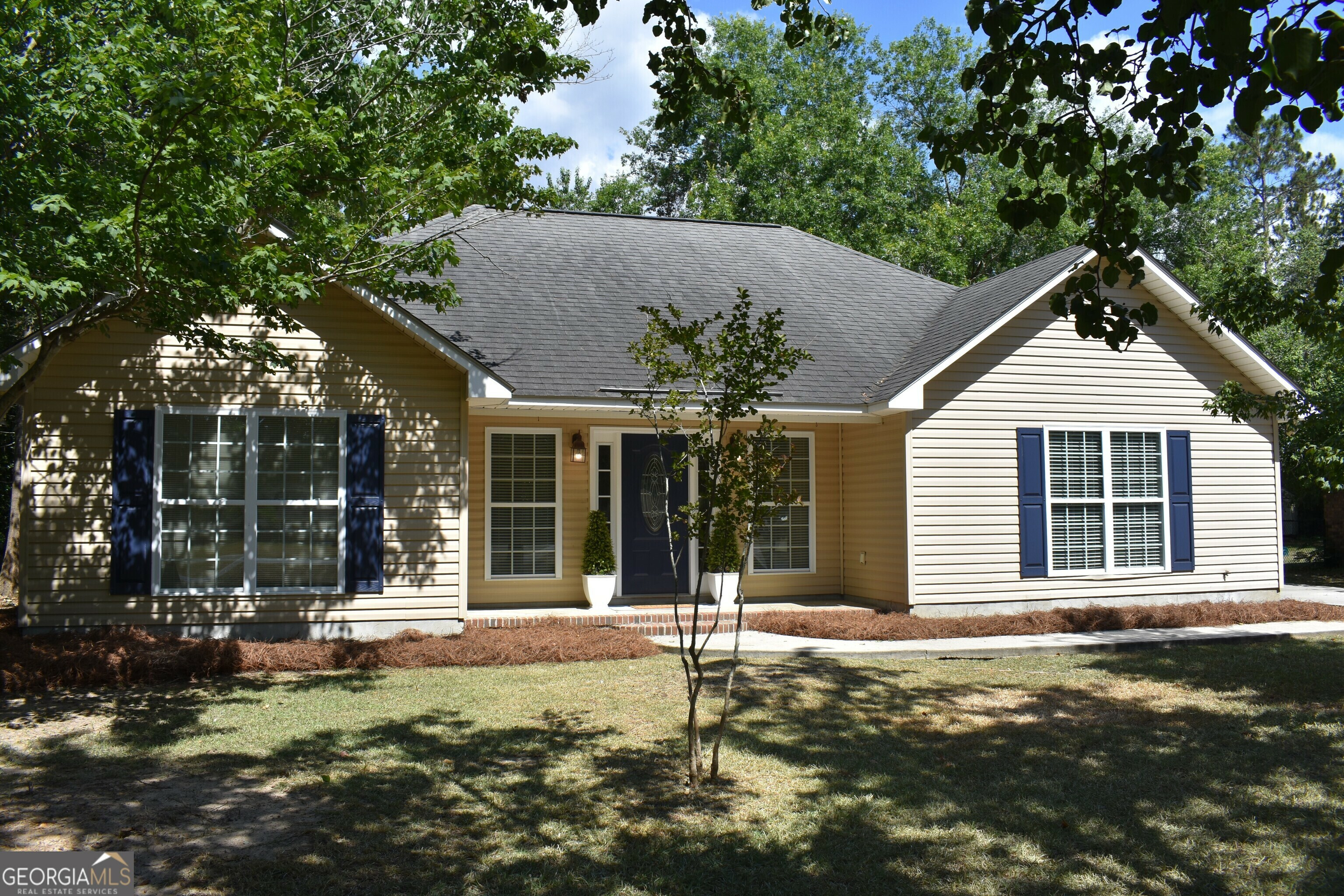 Property Photo:  725 S Rountree Street  GA 30439 