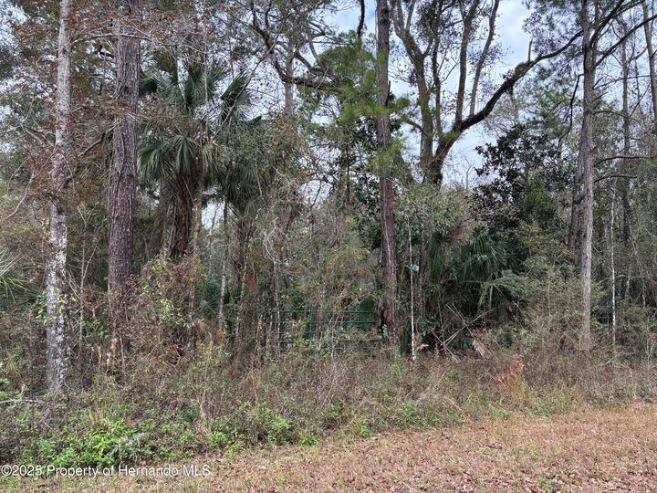 Property Photo:  Lot 3 Carolina Dove Road  FL 34614 