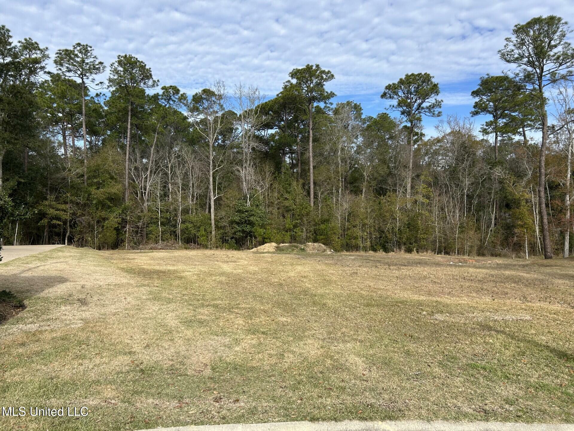 Property Photo:  Caymus Cove  MS 39564 