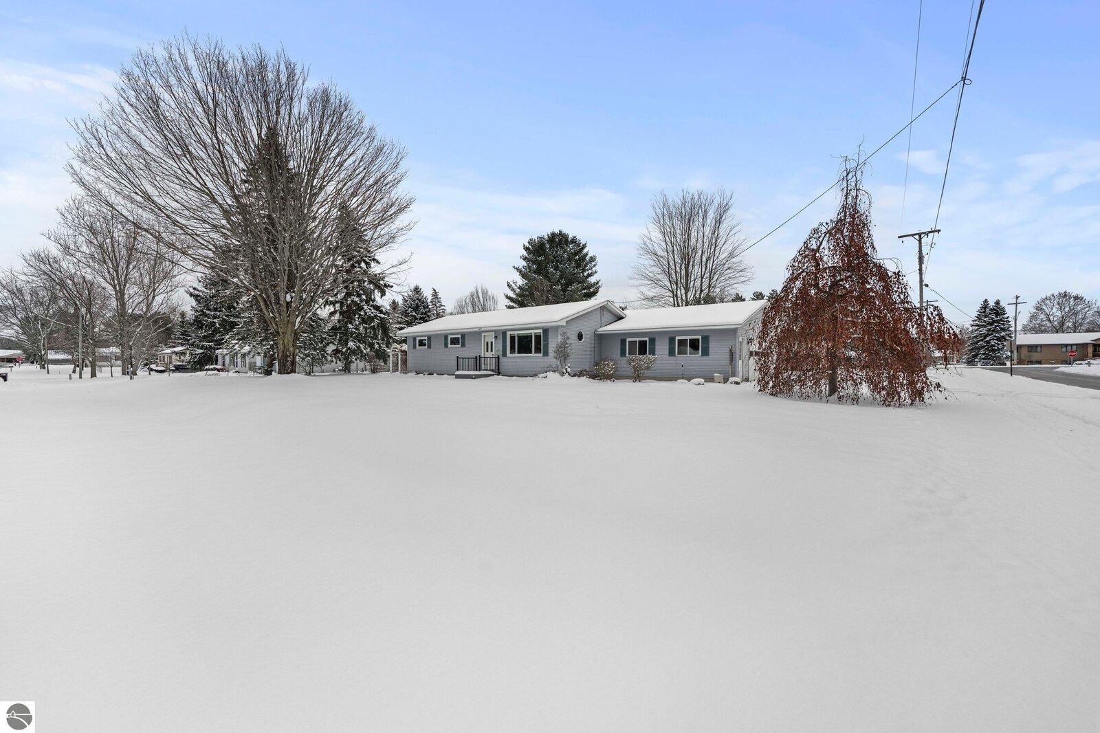 Property Photo:  619 Ash Street  MI 49649 