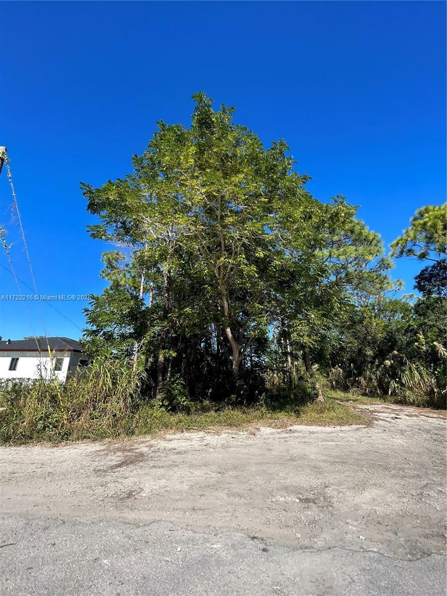 Property Photo:  219 SW  FL 33170 