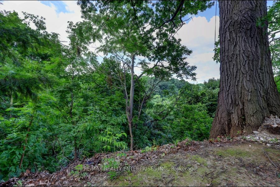 Photo de la propriété:  100 Old Mill Rd  ON M8X 1G8 