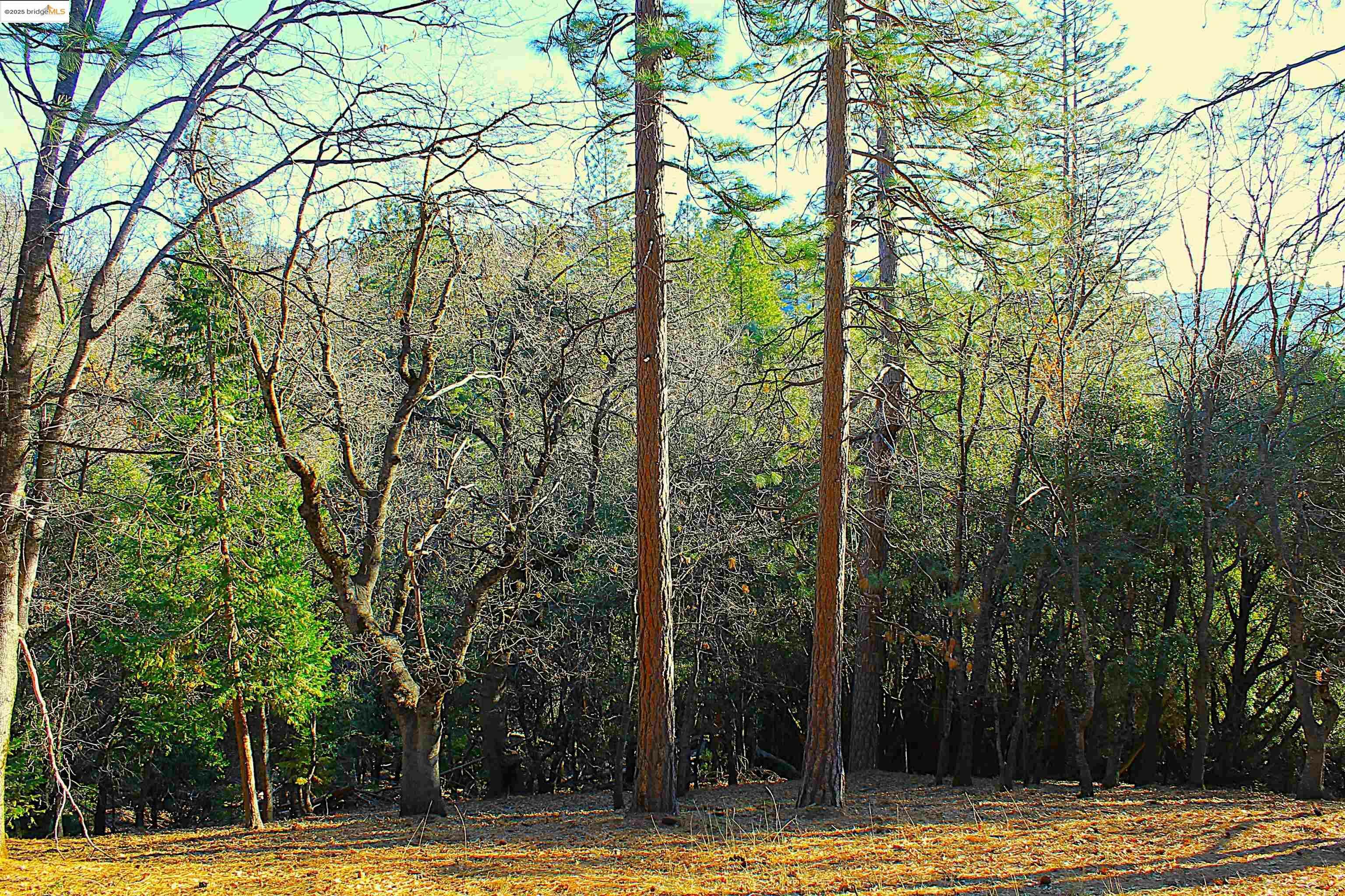 Property Photo: 23753 Rusty Spur Road CA 95370
