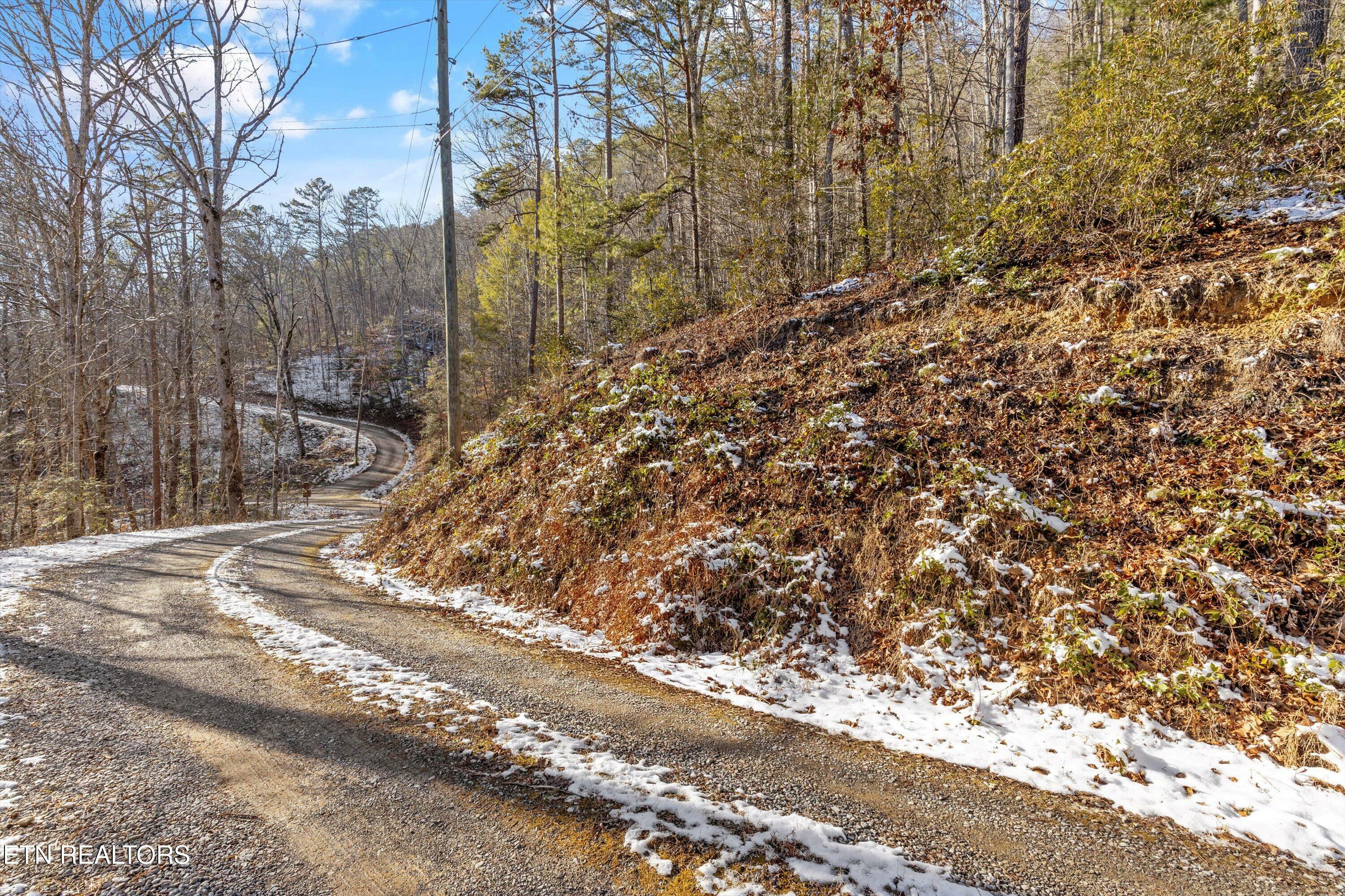 Property Photo:  Lumber Jack Way  TN 37876 