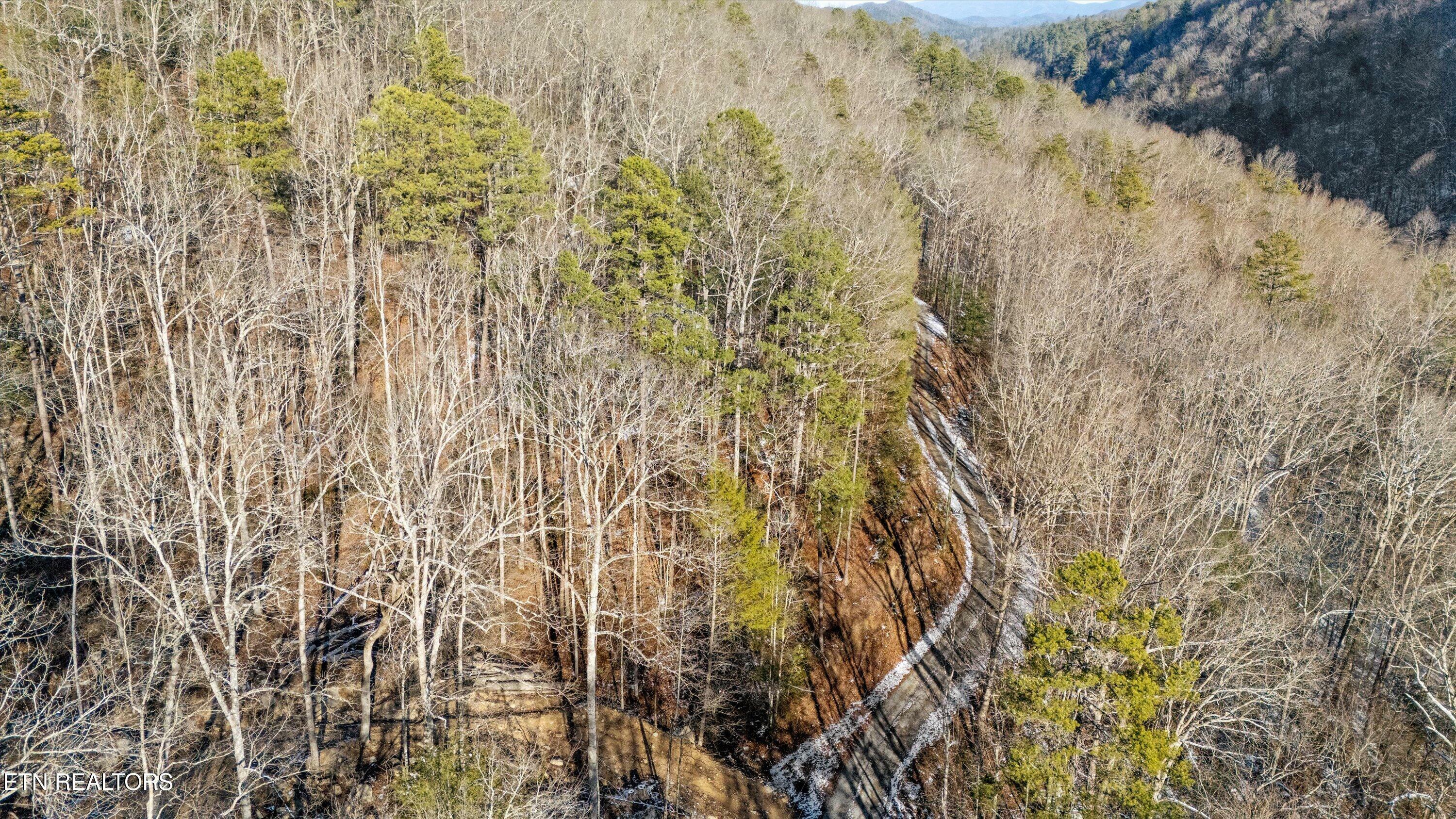 Property Photo:  Lumber Jack Way  TN 37876 