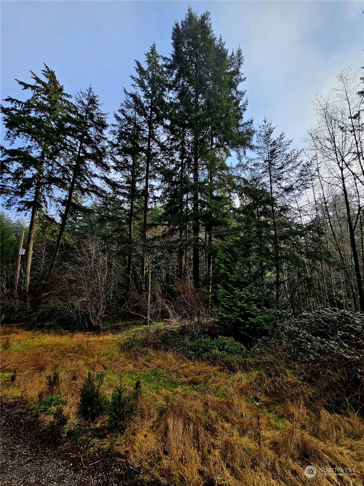 Property Photo:  2590 E Mason Lake Road  WA 98584 