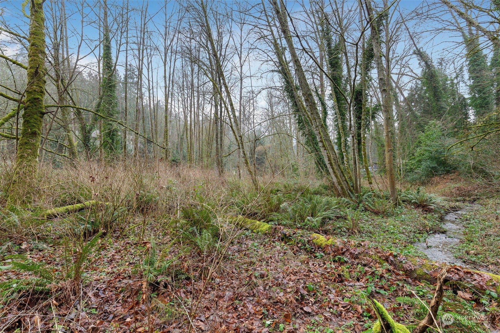 Property Photo:  16  Xxx 76th Place NE  WA 98028 