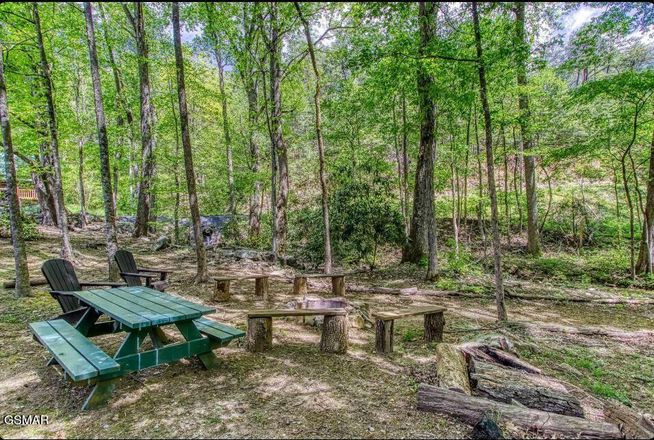 Property Photo: 2561 Black Bear Lane TN 37876
