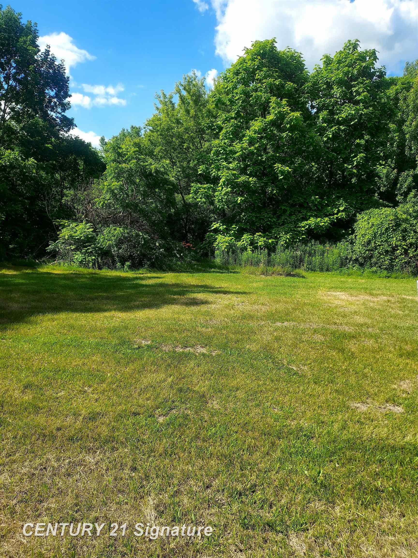 Property Photo:  11038 Farrand Road  MI 48457 