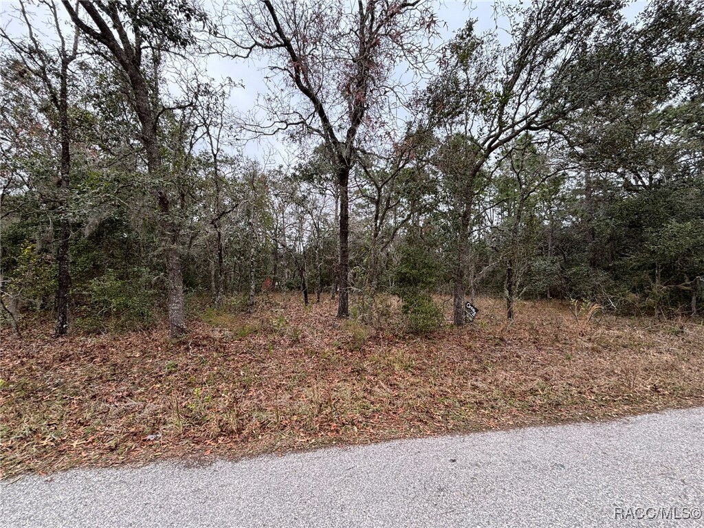 Property Photo: 3043 E Kennedy Street FL 34453