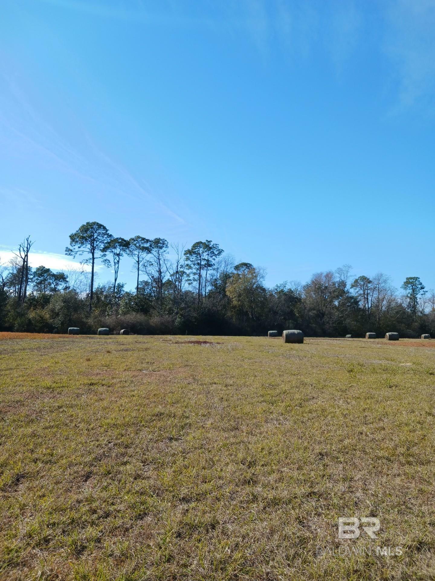 Property Photo:  23486 County Road 36  AL 36580 