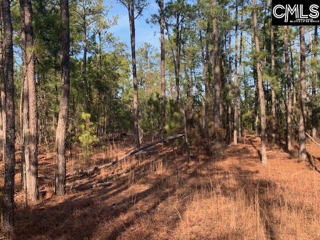 Property Photo:  264 Willie Wilson  SC 29044