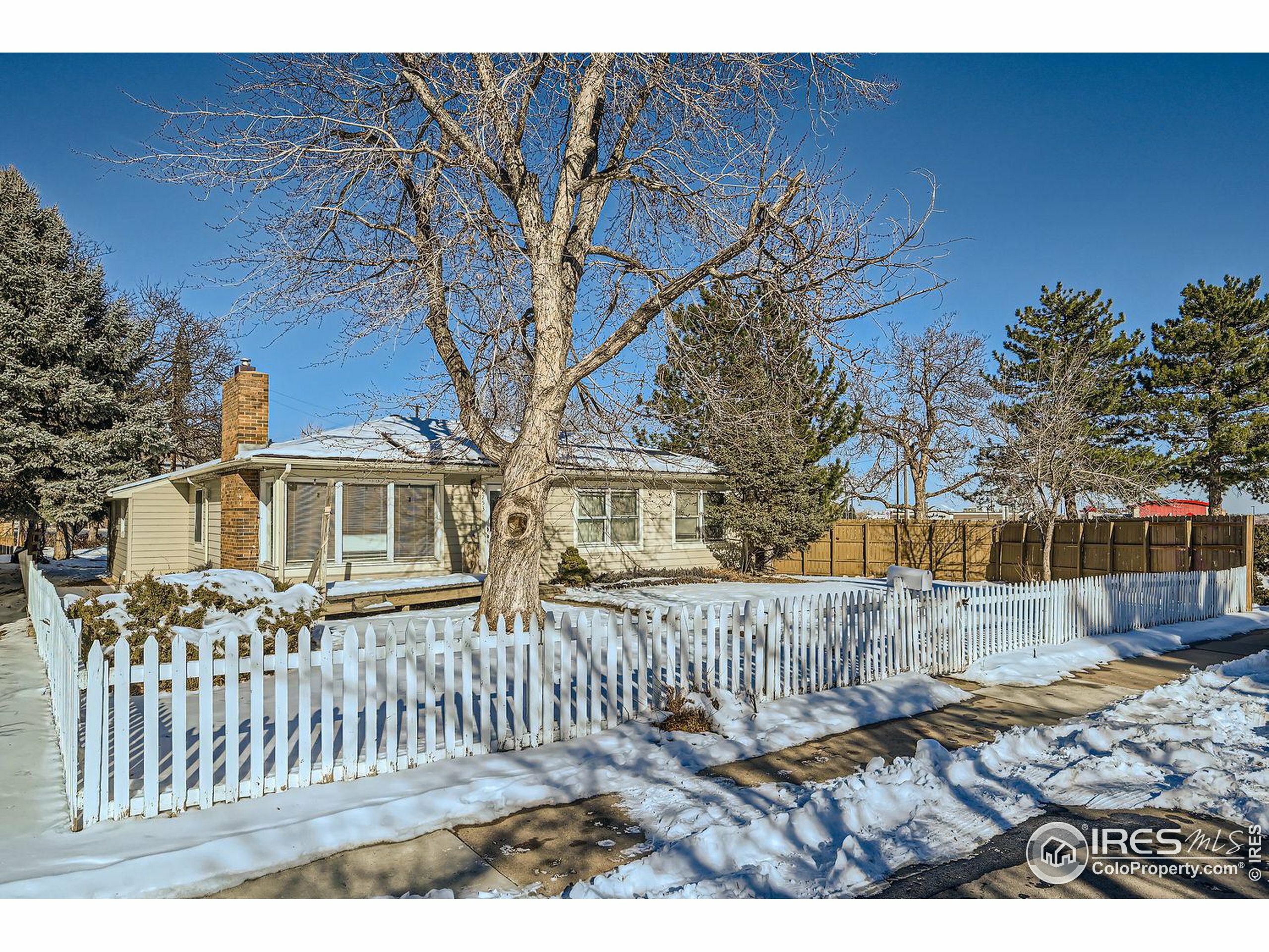 Property Photo:  2253 Columbine Ave  CO 80302 