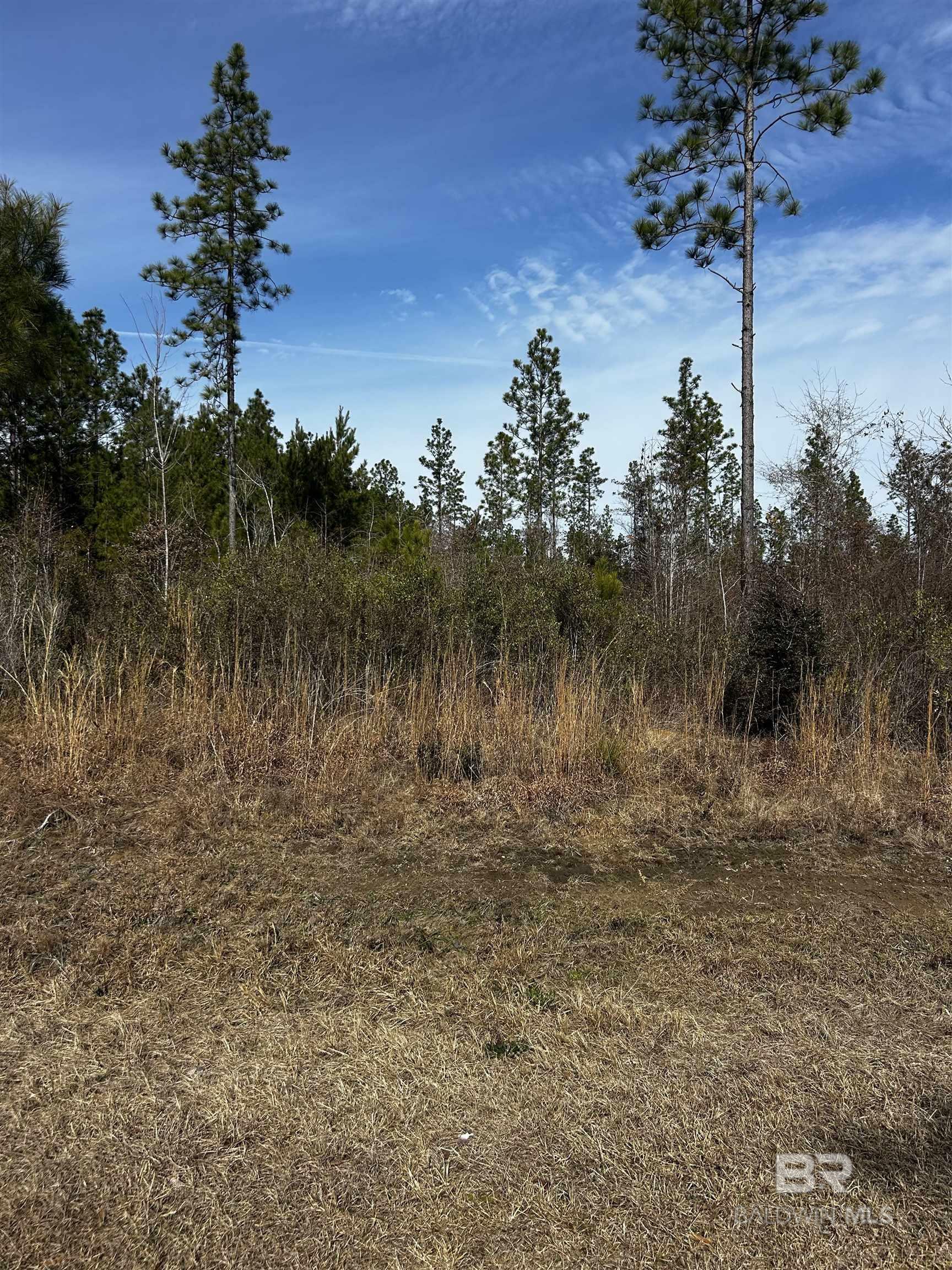 Property Photo:  0 Lonnie Hadley Road  AL 36562 