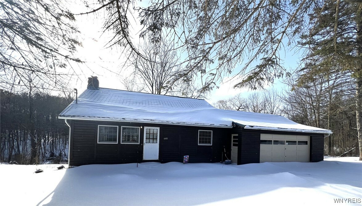 6431 Lewis Road  Trumansburg NY 14886 photo