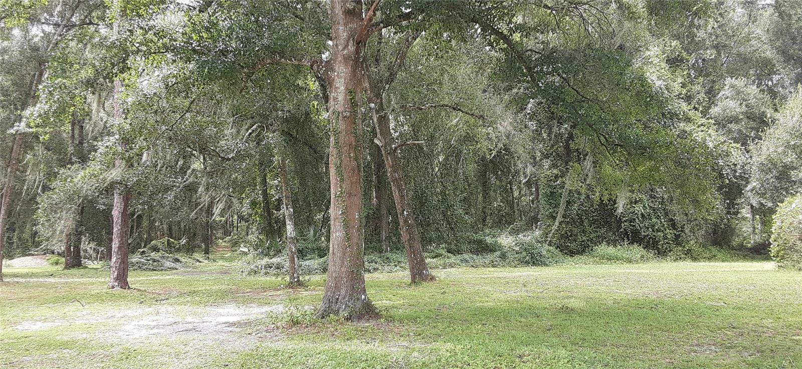 Property Photo: 5245 Warm Springs Avenue FL 34785