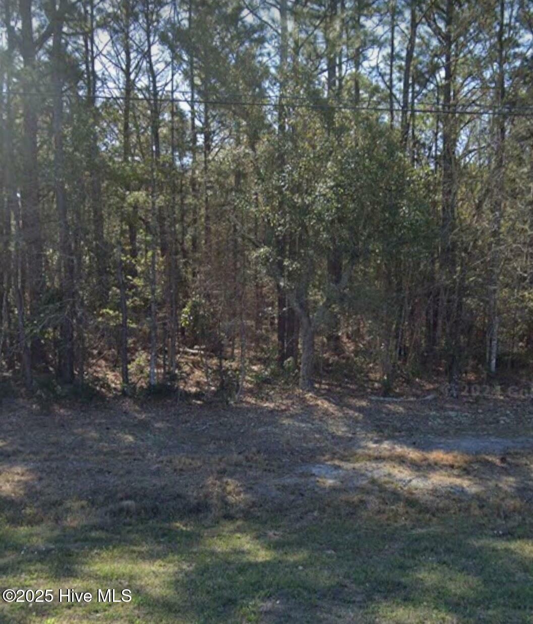 Property Photo: 24480 US Highway 17 NC 28443