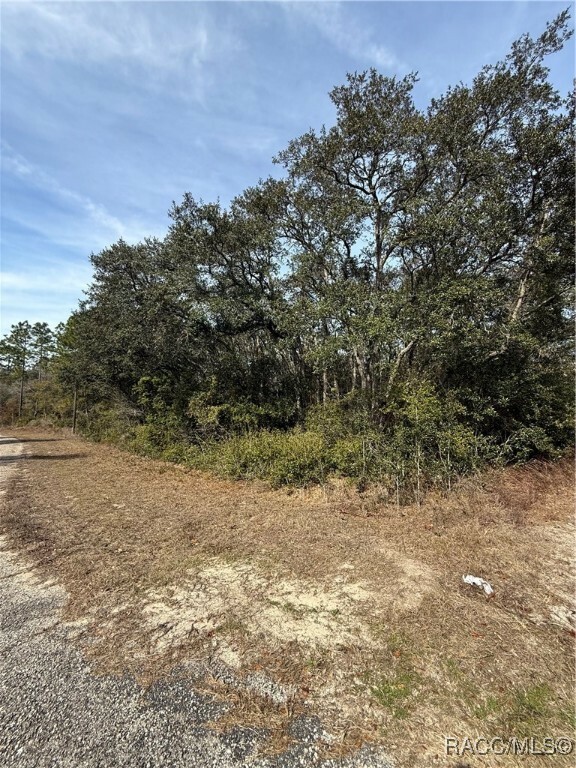 Property Photo:  3881 W Tropic Lane  FL 34433 