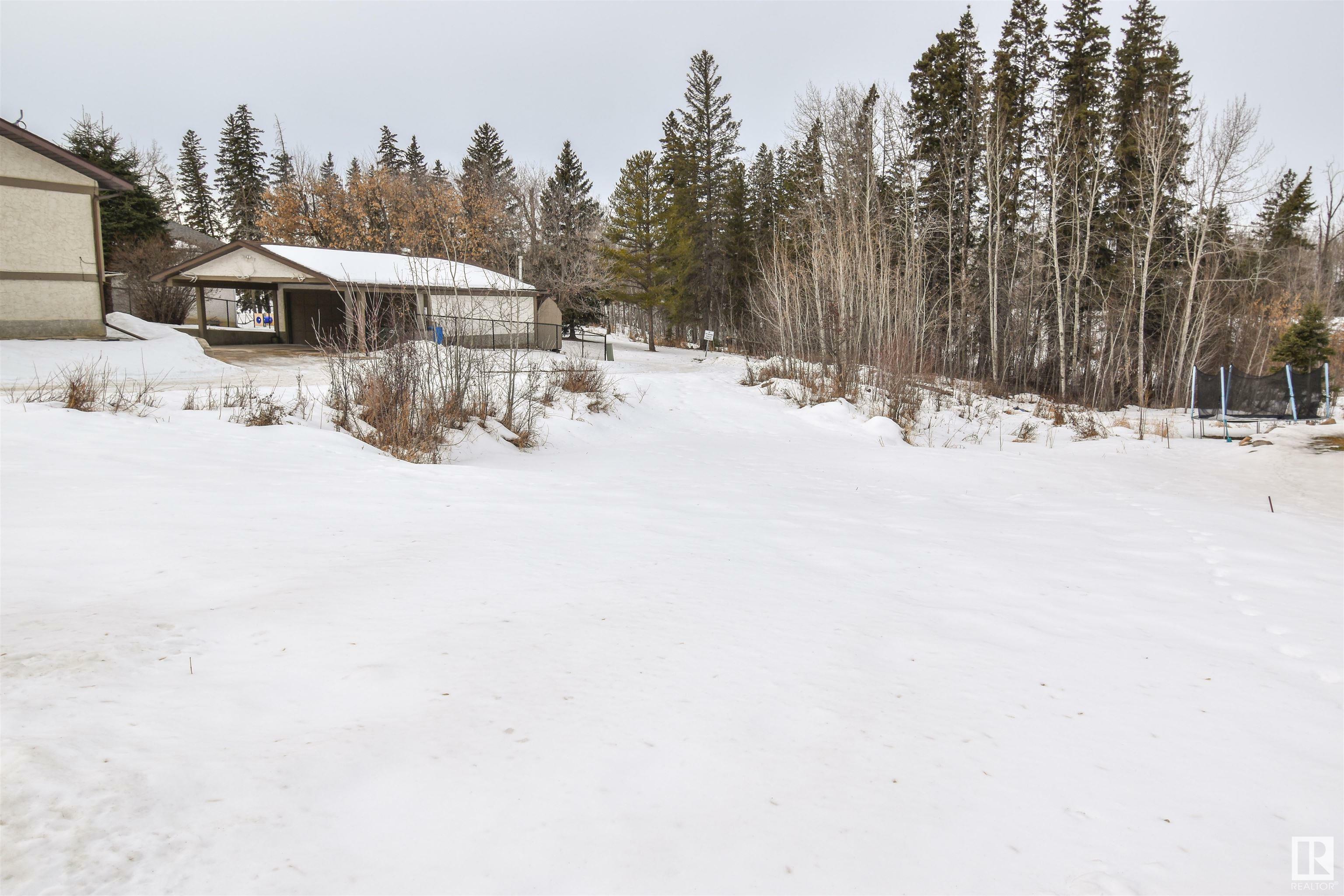 Property Photo:  4418 48 Avenue  AB T0E 1V0 