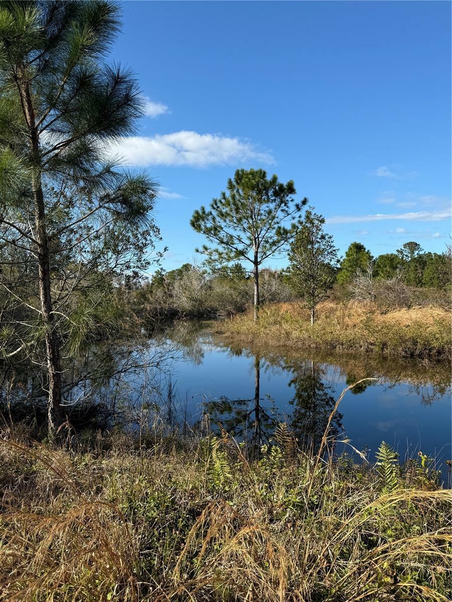 Property Photo: 1686 Oak View Farms Road FL 32764