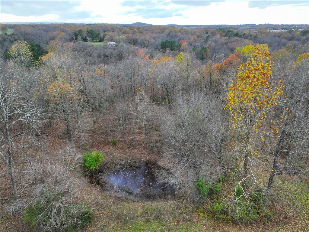 Lot 6 Old Capps Road  Harrison AR 72601 photo