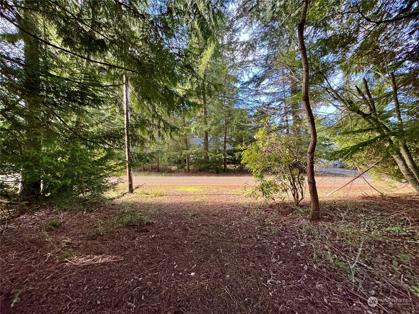 Property Photo:  10123  Lake Florence Place  WA 98303 