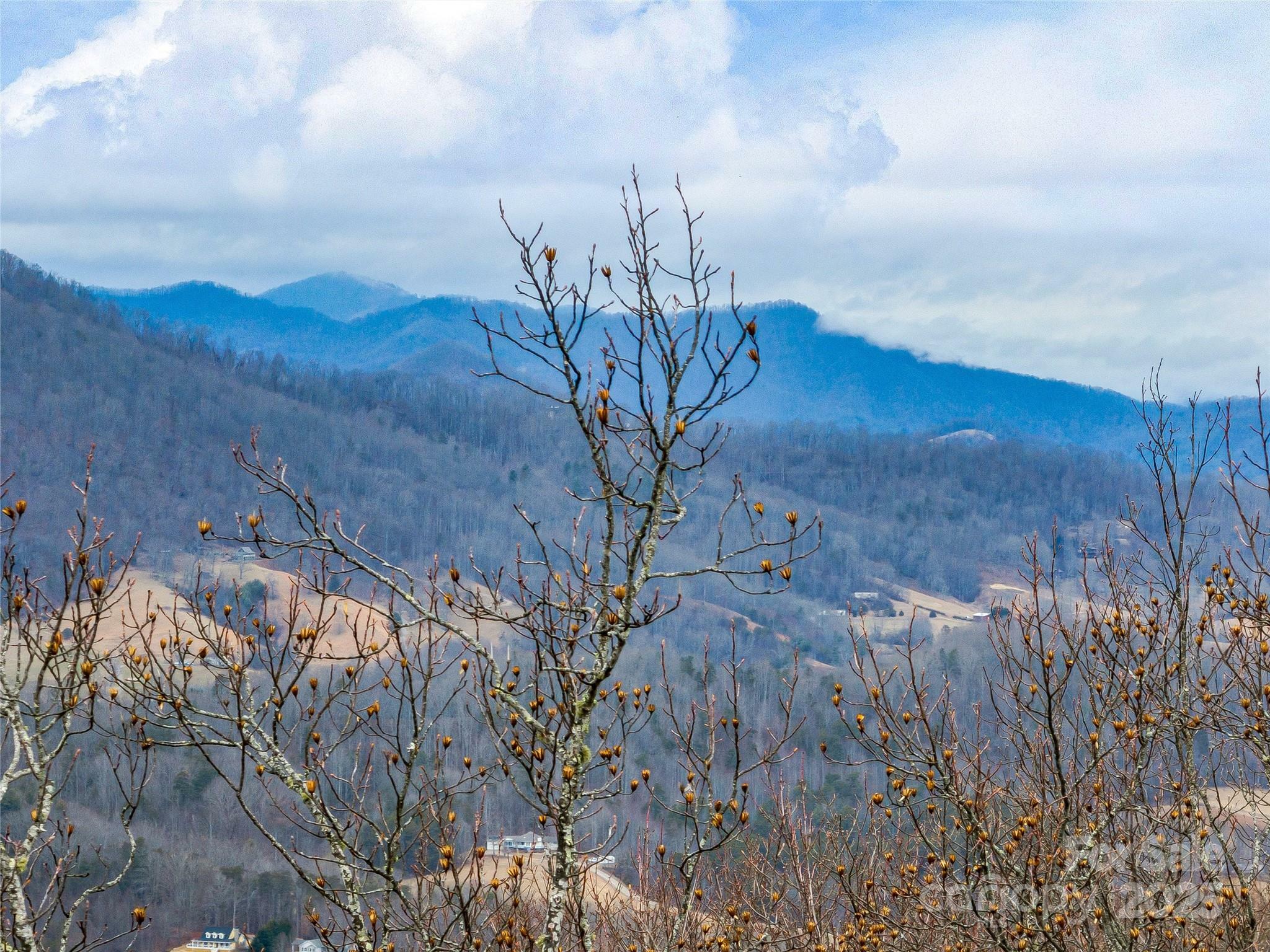 Property Photo: 19 Mossy Rock Lane 76 NC 28748