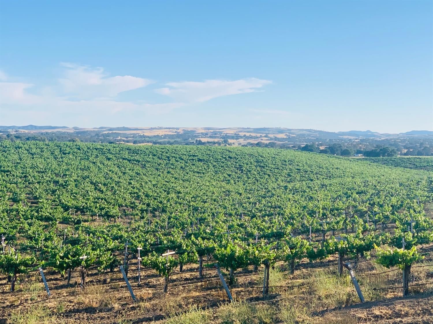 Property Photo:  4860 Camp 8 Road  CA 93446 