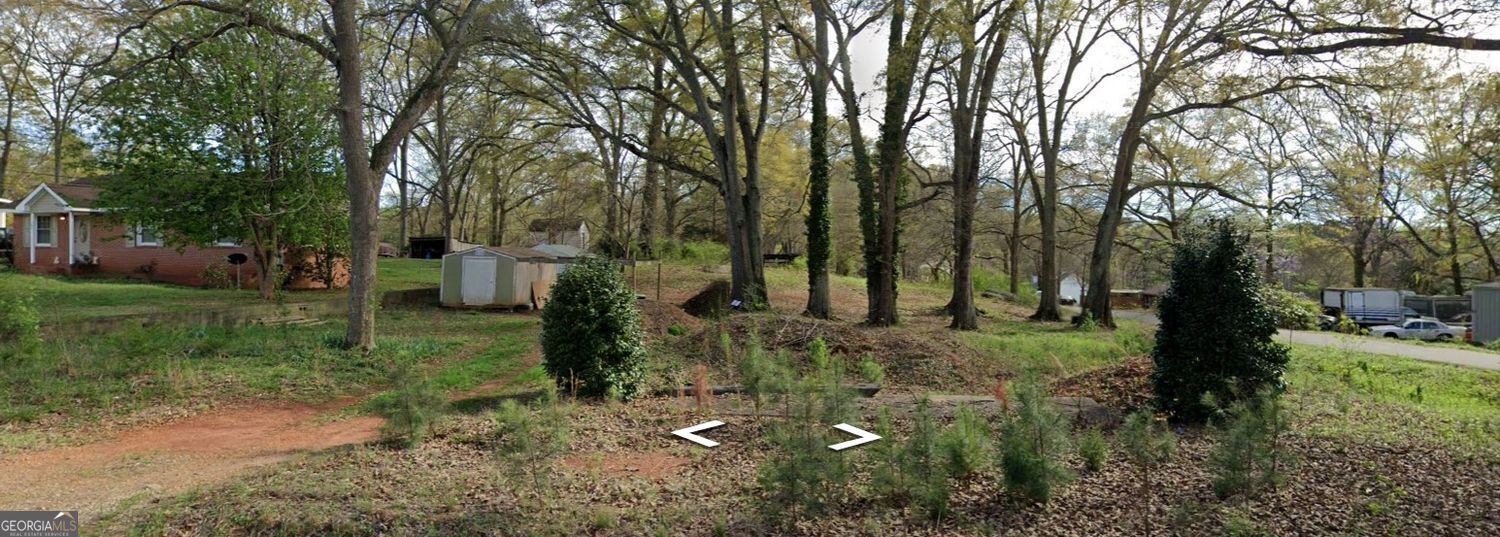Property Photo:  307 W County Road  GA 30286 