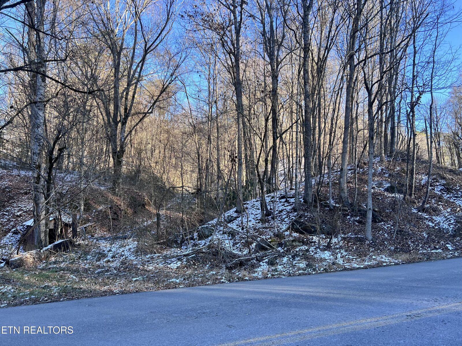 Property Photo:  Maples Branch Rd  TN 37876 
