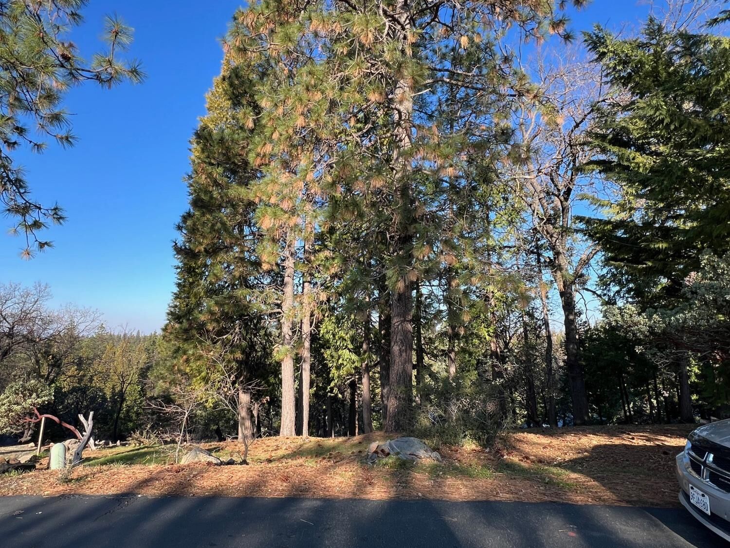 Property Photo: 1238 Canyon Ridge Court CA 95247