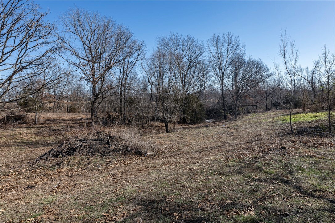 Property Photo:  Tbd - Track 2 NE Brush Arbor Road  AR 72713 