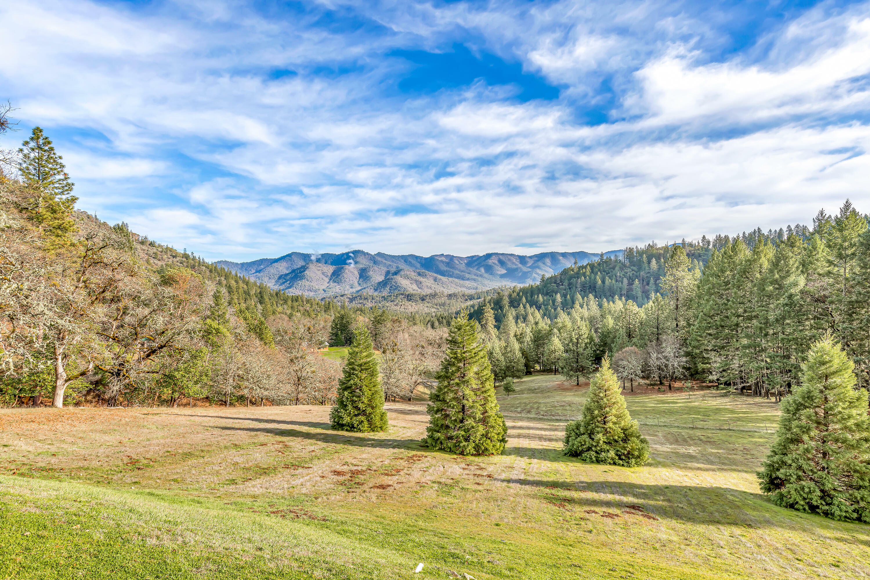 Property Photo:  2742 Birdseye Creek Road  OR 97525 