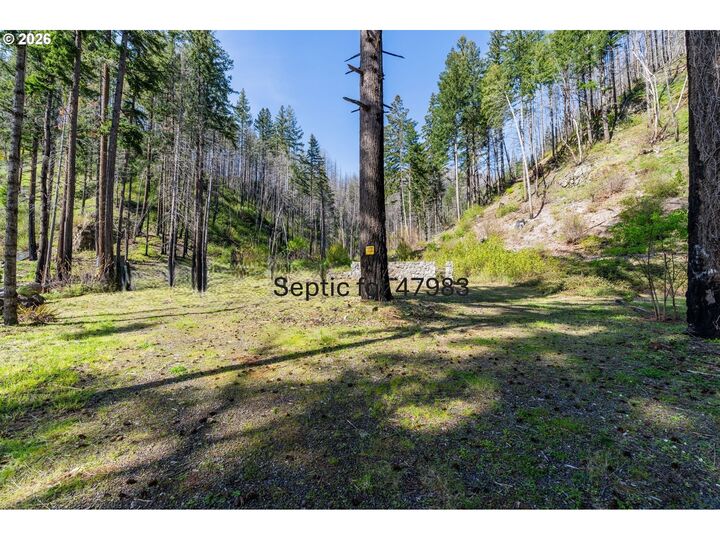 Property Photo: 47983 McKenzie Hwy OR 97488